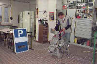 wpe41.jpg (5947 Byte)